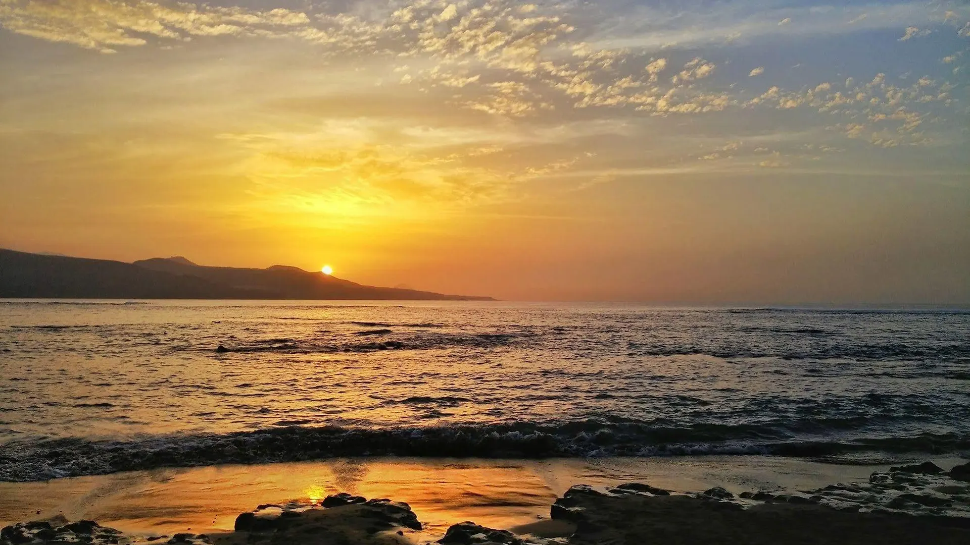 Brisamar Canteras contacts